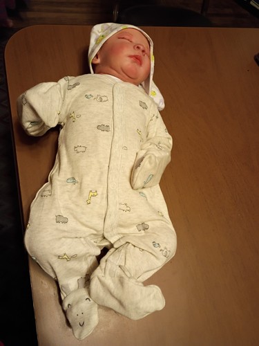 Reborn baby