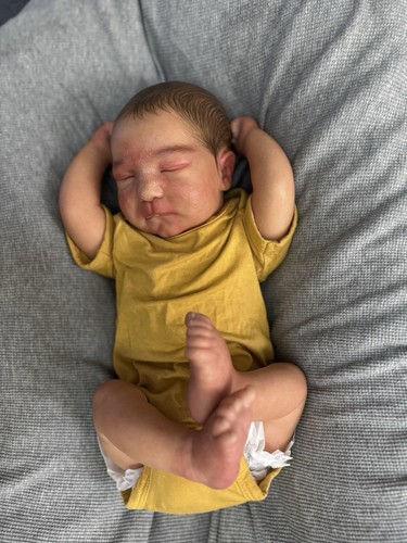 Reborn realborn royan - realborn,