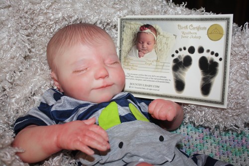 Reborn ryan alexander - alexander,