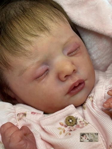 Pbn yvonne etheridge - etheridge, reborn