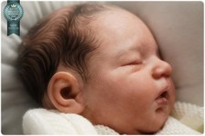 Studio-Doll GIRL reborn Noa di