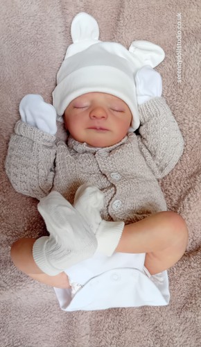 Reborn baby tibor sabine - tibor, di