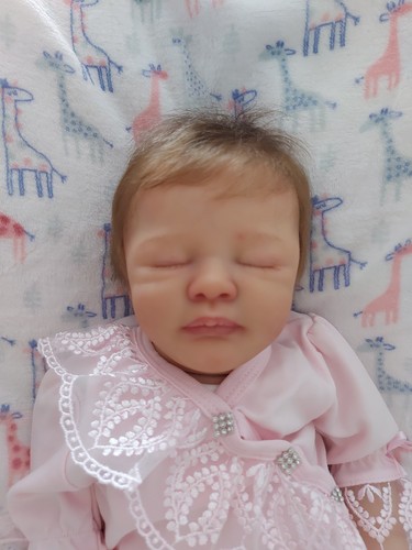 Reborn baby dallas dawn - di,