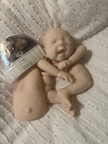 Kit cassie reborn alicia - kit, di
