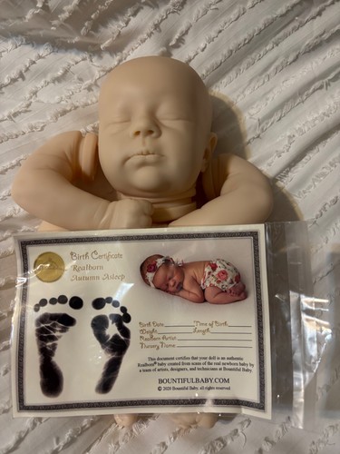 Realborn autumn addorment - realborn,